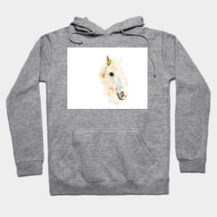 Icelandic Horse Sketch Art Hoodie